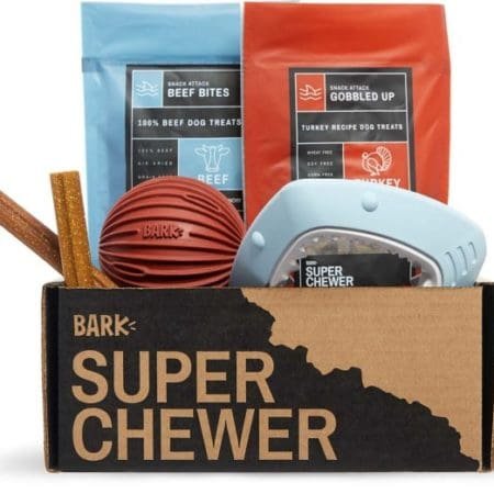 bark box super chewer
