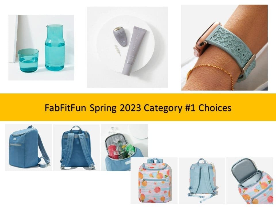 FabFitFun Spring 2023 Customization #1 Choices