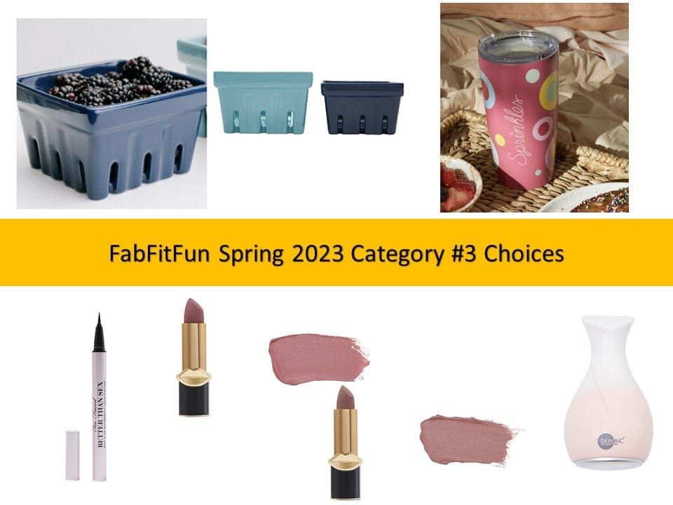 FabFitFun Spring 2023 Customization #3 Choices